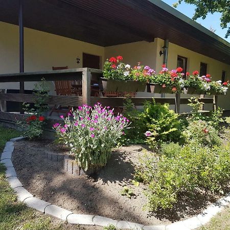 Ferienwohnanlage "Am Bernsteinsee" Daire Dierhagen Dış mekan fotoğraf